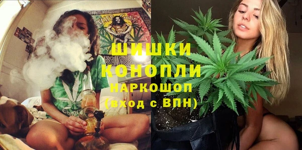 крисы Арсеньев