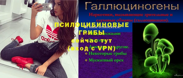 крисы Арсеньев