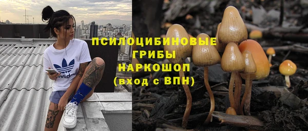 спиды Аркадак